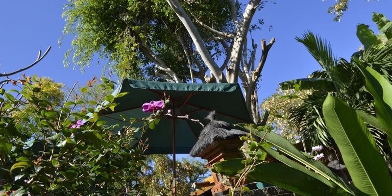 Lodge Roche Tamarin & Spa Saint-Denis Exterior photo