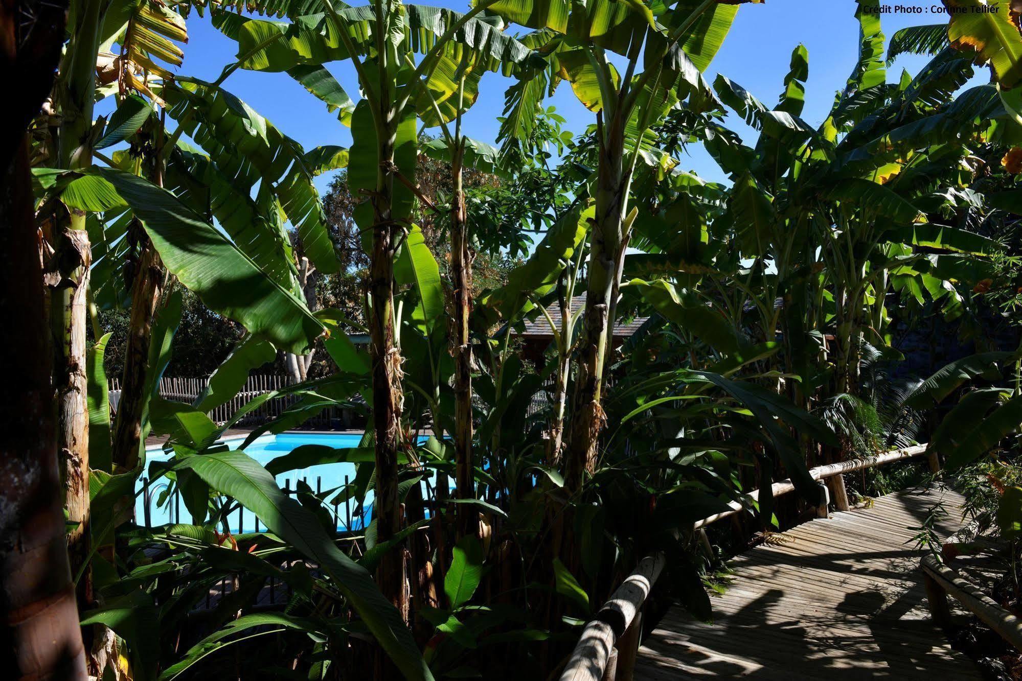 Lodge Roche Tamarin & Spa Saint-Denis Exterior photo